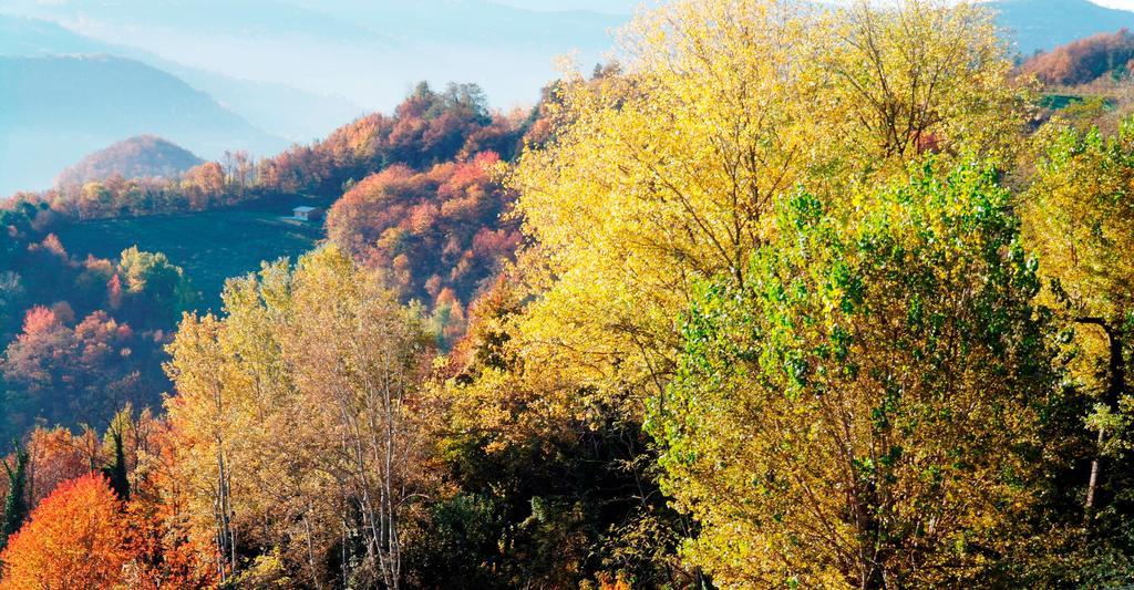 Apartmán Borgo San Rocco Piemonte Castino Exteriér fotografie